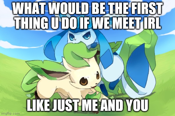 Glaceon x leafeon uwu | WHAT WOULD BE THE FIRST THING U DO IF WE MEET IRL; LIKE JUST ME AND YOU | image tagged in glaceon x leafeon uwu | made w/ Imgflip meme maker