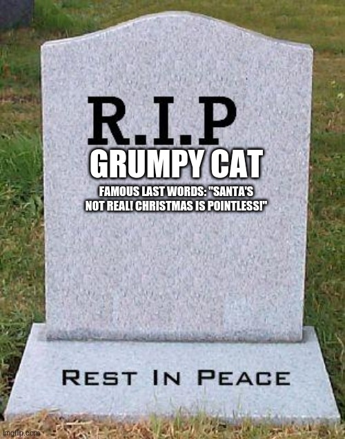 RIP headstone | GRUMPY CAT FAMOUS LAST WORDS: "SANTA'S NOT REAL! CHRISTMAS IS POINTLESS!" | image tagged in rip headstone | made w/ Imgflip meme maker
