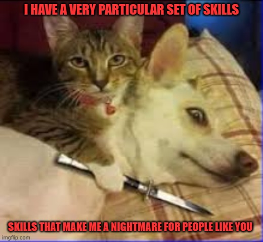 CAT SKILLS | I HAVE A VERY PARTICULAR SET OF SKILLS; SKILLS THAT MAKE ME A NIGHTMARE FOR PEOPLE LIKE YOU | image tagged in grumpy cat | made w/ Imgflip meme maker