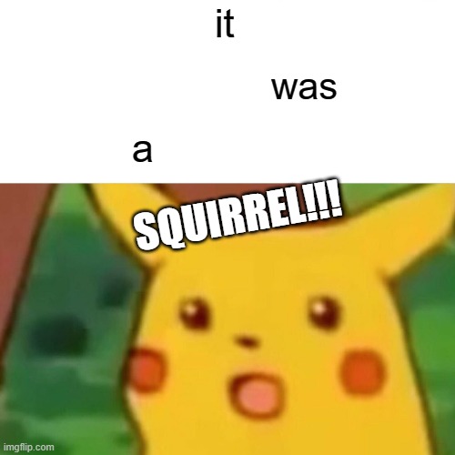 Surprised Pikachu Meme | it; was; a; SQUIRREL!!! | image tagged in memes,surprised pikachu,squirrel | made w/ Imgflip meme maker