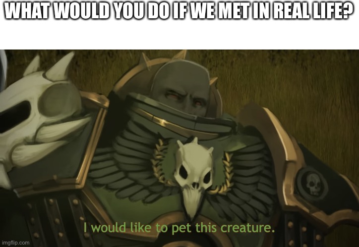 I would like to pet this creature | WHAT WOULD YOU DO IF WE MET IN REAL LIFE? | image tagged in i would like to pet this creature | made w/ Imgflip meme maker