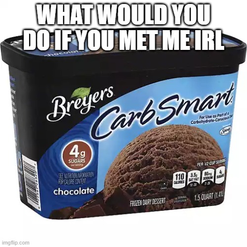 WHAT WOULD YOU DO IF YOU MET ME IRL | made w/ Imgflip meme maker