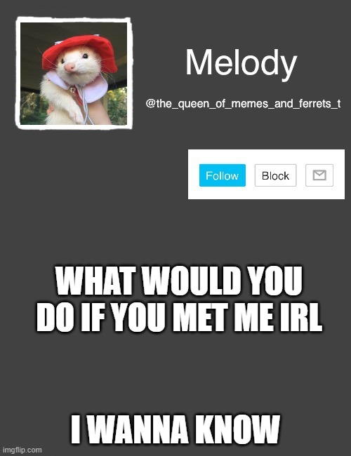 hehe | WHAT WOULD YOU DO IF YOU MET ME IRL; I WANNA KNOW | image tagged in my new template,xd,lol,curious,oof | made w/ Imgflip meme maker