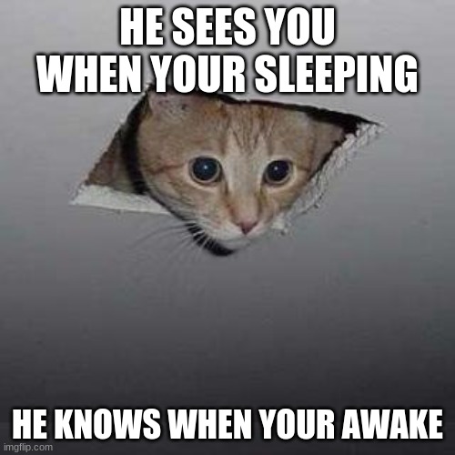 Ceiling Cat | HE SEES YOU WHEN YOUR SLEEPING; HE KNOWS WHEN YOUR AWAKE | image tagged in memes,ceiling cat | made w/ Imgflip meme maker