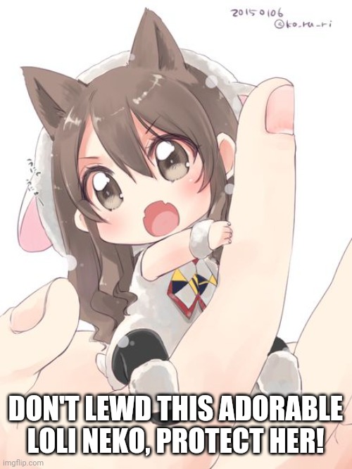 My opinion |  DON'T LEWD THIS ADORABLE LOLI NEKO, PROTECT HER! | image tagged in loli,lewd,protection | made w/ Imgflip meme maker
