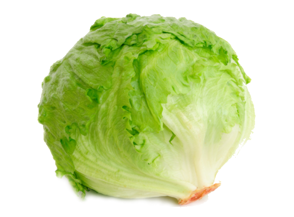 High Quality Lettuce Blank Meme Template