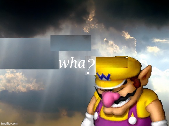 Wario wha? | image tagged in wario wha | made w/ Imgflip meme maker