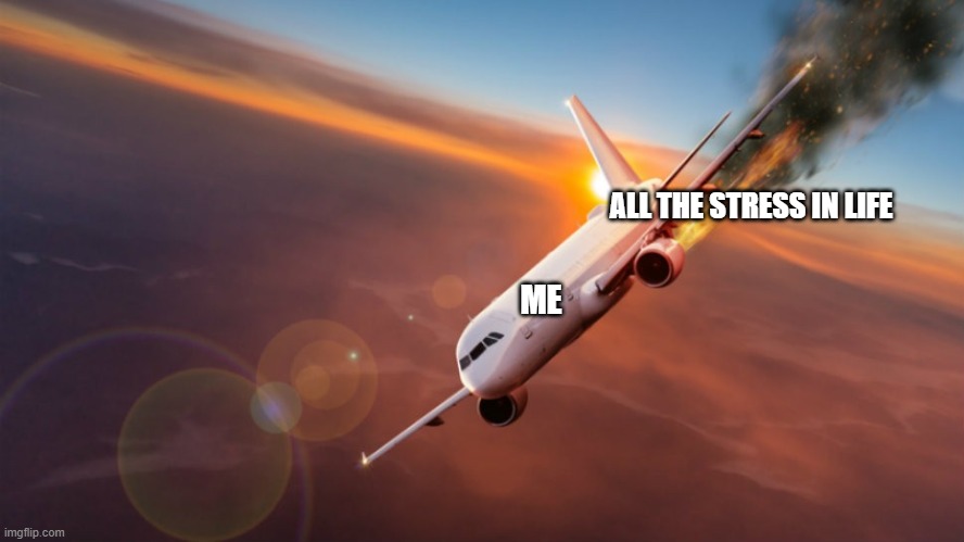 Airplane on fire | ALL THE STRESS IN LIFE; ME | image tagged in f in the chat,airplane,fire,e,oof | made w/ Imgflip meme maker