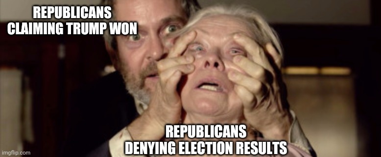 The Politics Stream right now | REPUBLICANS CLAIMING TRUMP WON; REPUBLICANS DENYING ELECTION RESULTS | image tagged in bird box meme | made w/ Imgflip meme maker
