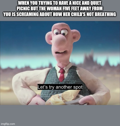 Wallace and his moon cheese | WHEN YOU TRYING TO HAVE A NICE AND QUIET PICNIC BUT THE WOMAN FIVE FEET AWAY FROM YOU IS SCREAMING ABOUT HOW HER CHILD'S NOT BREATHING | image tagged in let's try another spot | made w/ Imgflip meme maker