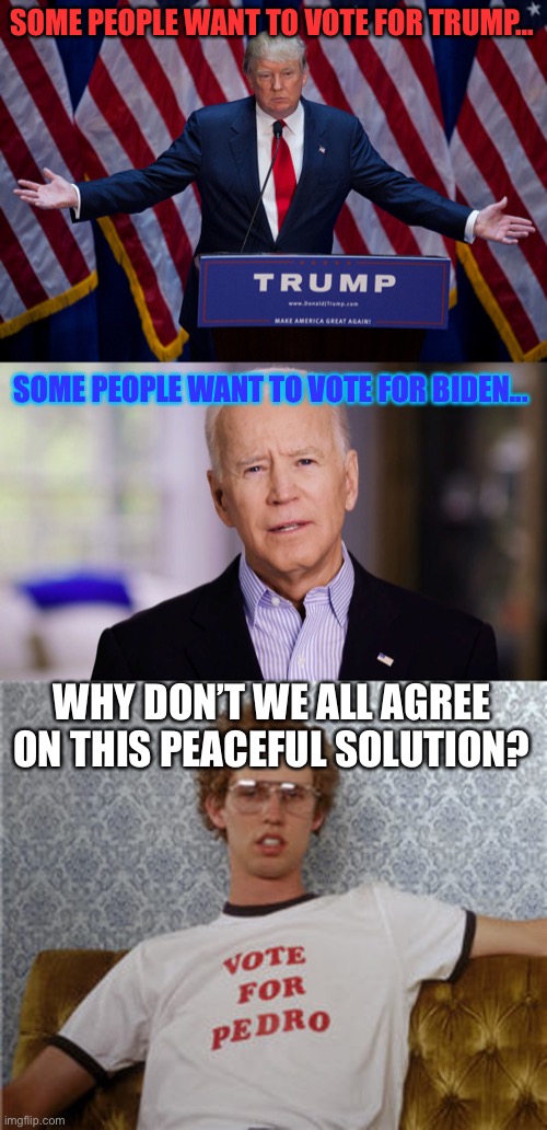 Hopefully no one gets offended by this... | SOME PEOPLE WANT TO VOTE FOR TRUMP... SOME PEOPLE WANT TO VOTE FOR BIDEN... WHY DON’T WE ALL AGREE ON THIS PEACEFUL SOLUTION? | image tagged in donald trump,joe biden 2020,vote for pedro,politics,jokes,napoleon dynamite | made w/ Imgflip meme maker