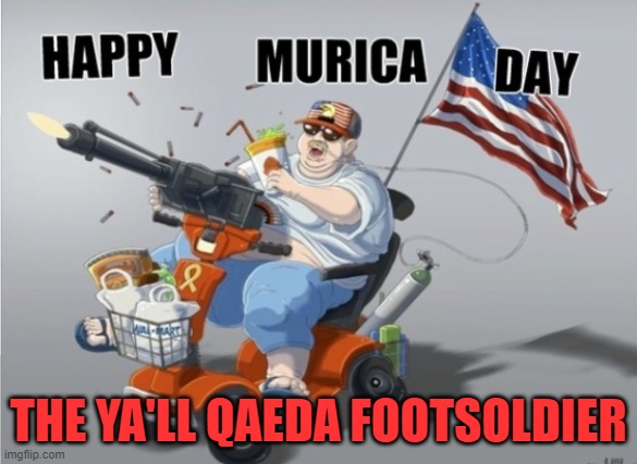 Why I'm not afraid of a Civil War | THE YA'LL QAEDA FOOTSOLDIER | image tagged in militia,second amendment,trump,maga,republican,lol | made w/ Imgflip meme maker