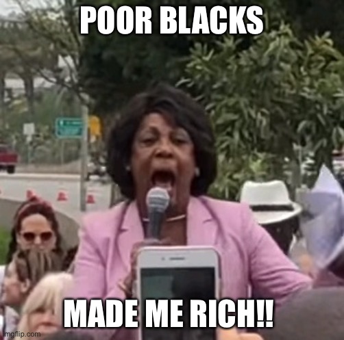 Maxine Waters | POOR BLACKS; MADE ME RICH!! | image tagged in maxine waters | made w/ Imgflip meme maker