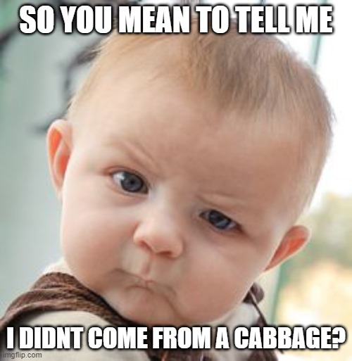 when i be no cabbage kiddo | SO YOU MEAN TO TELL ME; I DIDNT COME FROM A CABBAGE? | image tagged in memes,skeptical baby | made w/ Imgflip meme maker