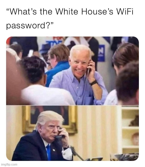 someone's not amused | image tagged in the white house's wifi password,repost,white house,wifi,password,election 2020 | made w/ Imgflip meme maker