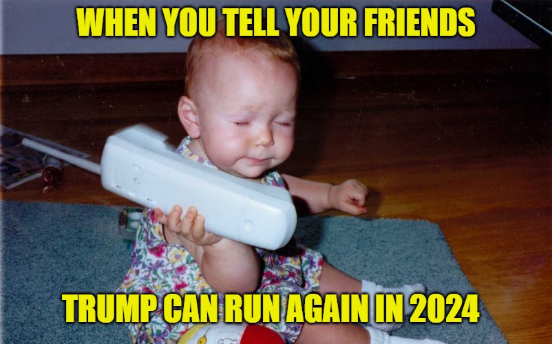 Trump 2024 | WHEN YOU TELL YOUR FRIENDS; TRUMP CAN RUN AGAIN IN 2024 | image tagged in funny memes,crazy,democrats | made w/ Imgflip meme maker