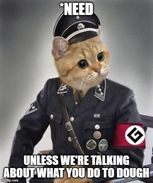Grammar Nazi Cat | *NEED; UNLESS WE'RE TALKING ABOUT WHAT YOU DO TO DOUGH | image tagged in grammar nazi cat,funny,cats,meme,bad grammar and spelling memes,memes | made w/ Imgflip meme maker