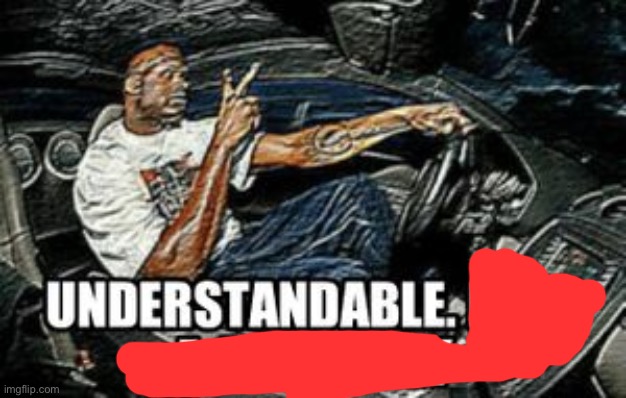 UNDERSTANDABLE HAVE A GREAT DAY | image tagged in understandable have a great day | made w/ Imgflip meme maker