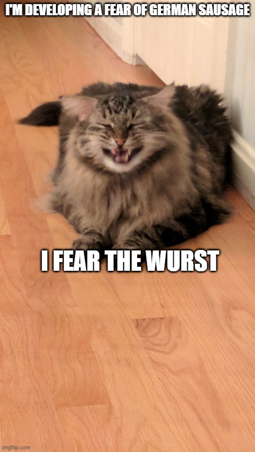 Bad joke cat | I'M DEVELOPING A FEAR OF GERMAN SAUSAGE; I FEAR THE WURST | image tagged in bad joke cat,memes,cats,jokes,meme,funny | made w/ Imgflip meme maker