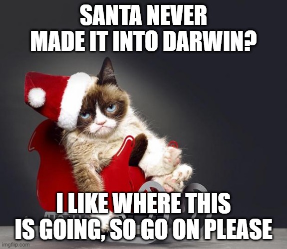 Grumpy Cat Christmas HD | SANTA NEVER MADE IT INTO DARWIN? I LIKE WHERE THIS IS GOING, SO GO ON PLEASE | image tagged in grumpy cat christmas hd,memes,cats,funny,grumpy cat,musically malicious grumpy cat | made w/ Imgflip meme maker