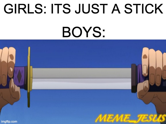 Its more than a stick | GIRLS: ITS JUST A STICK; BOYS:; MEME_JESUS | image tagged in relatable | made w/ Imgflip meme maker