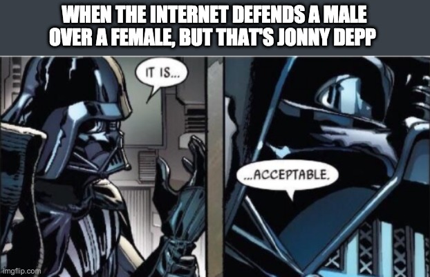 It Is Acceptable | WHEN THE INTERNET DEFENDS A MALE OVER A FEMALE, BUT THAT'S JONNY DEPP | image tagged in it is acceptable,johnny depp | made w/ Imgflip meme maker