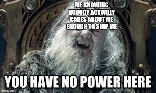 lmoa | ME KNOWING NOBODY ACTUALLY CARES ABOUT ME ENOUGH TO SHIP ME | image tagged in you have no power here | made w/ Imgflip meme maker