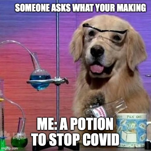 I Have No Idea What I Am Doing Dog Meme | SOMEONE ASKS WHAT YOUR MAKING; ME: A POTION TO STOP COVID | image tagged in memes,i have no idea what i am doing dog | made w/ Imgflip meme maker