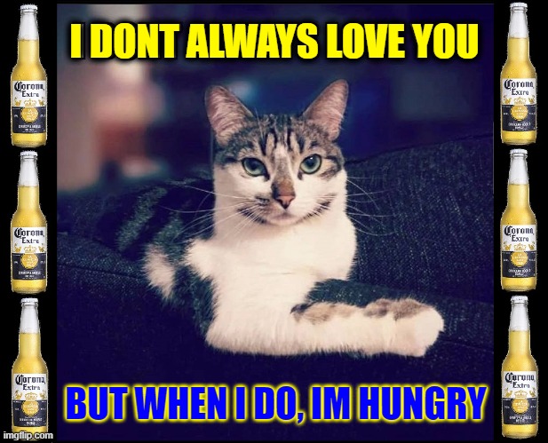 Corona Cat | I DONT ALWAYS LOVE YOU; BUT WHEN I DO, IM HUNGRY | image tagged in vince vance,cats,memes,corona beer,hungry,funny cat memes | made w/ Imgflip meme maker