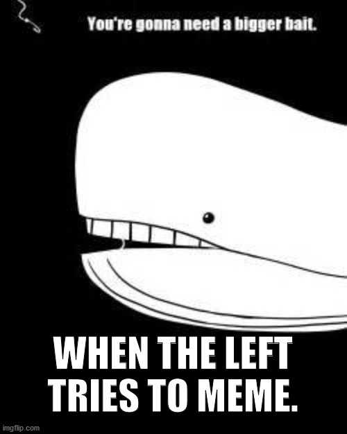 The left, the left, the left can't meme. | WHEN THE LEFT TRIES TO MEME. | image tagged in liberal logic,stupid liberals,crying liberals,crying democrats | made w/ Imgflip meme maker