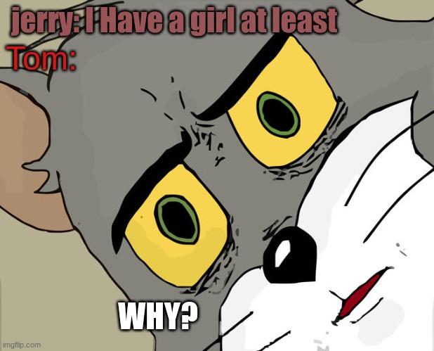 Unsettled Tom Meme | jerry: I Have a girl at least; Tom:; WHY? | image tagged in memes,unsettled tom | made w/ Imgflip meme maker
