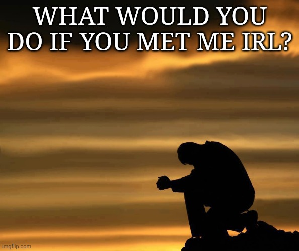 sunset man head down | WHAT WOULD YOU DO IF YOU MET ME IRL? | image tagged in sunset man head down | made w/ Imgflip meme maker