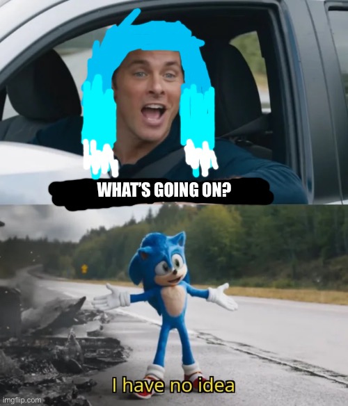Sonic I have no idea | WHAT’S GOING ON? | image tagged in sonic i have no idea | made w/ Imgflip meme maker