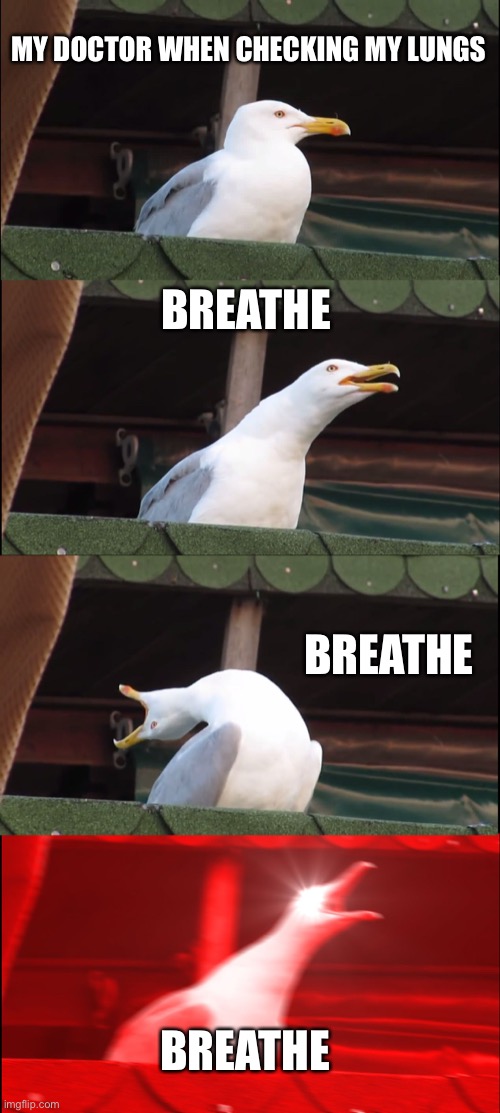 My doctor be like | MY DOCTOR WHEN CHECKING MY LUNGS; BREATHE; BREATHE; BREATHE | image tagged in memes,inhaling seagull | made w/ Imgflip meme maker