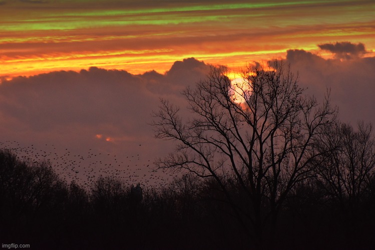 this morning just before a storm | made w/ Imgflip meme maker