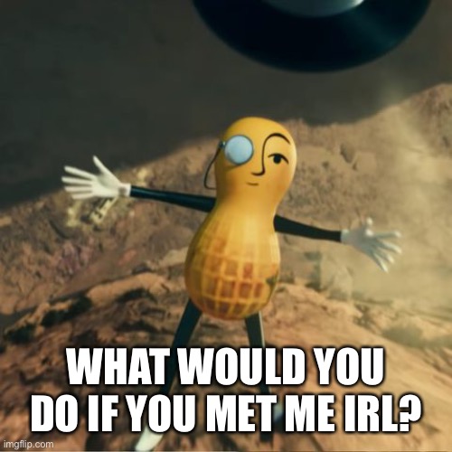 Mr Peanut's death | WHAT WOULD YOU DO IF YOU MET ME IRL? | image tagged in mr peanut's death | made w/ Imgflip meme maker