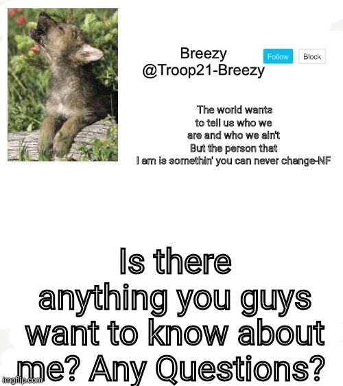 Anything at all. | Is there anything you guys want to know about me? Any Questions? | image tagged in trooper21-breezy template | made w/ Imgflip meme maker