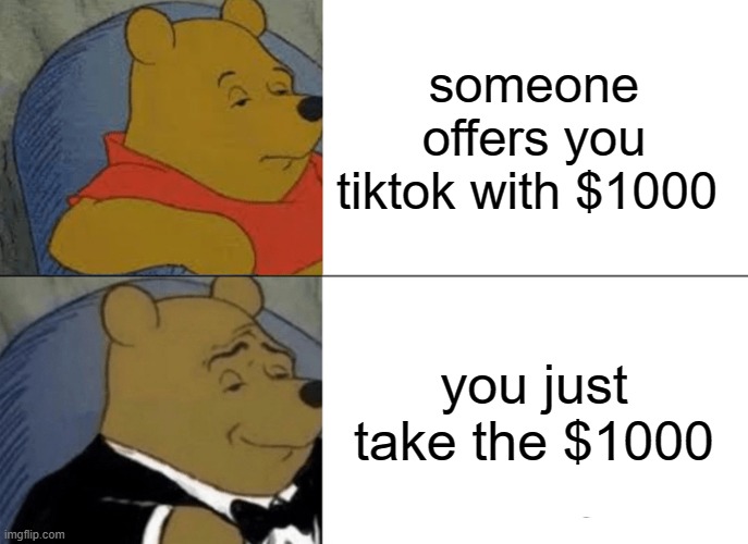Tuxedo Winnie The Pooh Meme | someone offers you tiktok with $1000; you just take the $1000 | image tagged in memes,tuxedo winnie the pooh | made w/ Imgflip meme maker