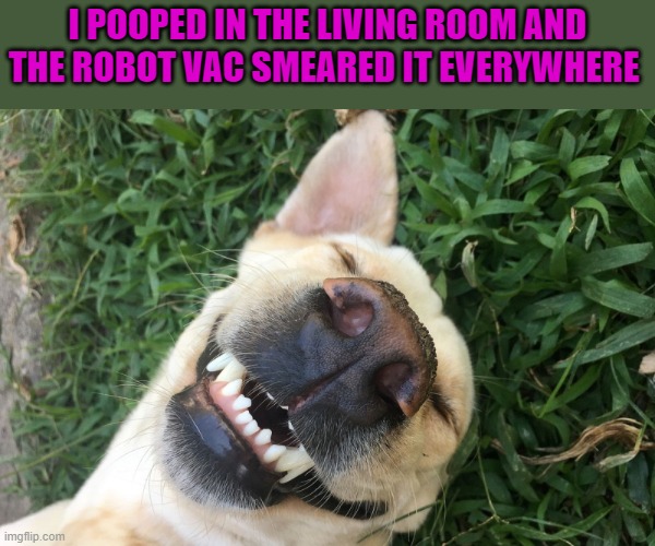 I POOPED IN THE LIVING ROOM AND THE ROBOT VAC SMEARED IT EVERYWHERE | made w/ Imgflip meme maker
