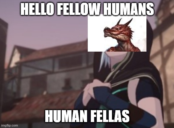 Human Rayla | HELLO FELLOW HUMANS; HUMAN FELLAS | image tagged in human rayla,dndmemes | made w/ Imgflip meme maker