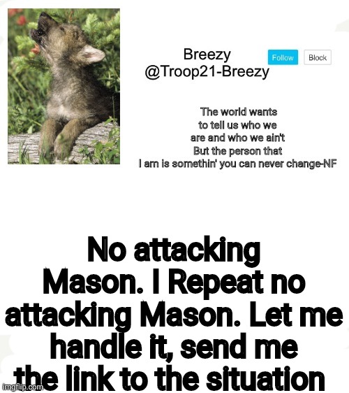 Trooper21-Breezy template | No attacking Mason. I Repeat no attacking Mason. Let me handle it, send me the link to the situation | image tagged in trooper21-breezy template | made w/ Imgflip meme maker