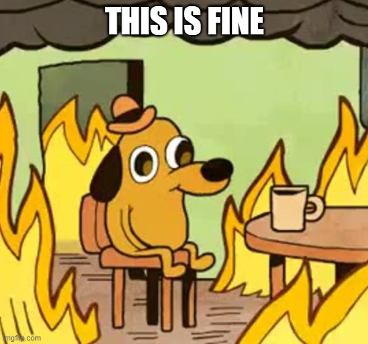 Its fine | THIS IS FINE | image tagged in its fine | made w/ Imgflip meme maker