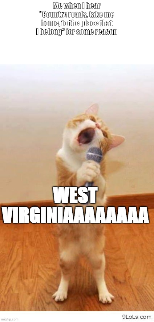 Cat Singer | Me when I hear "Country roads, take me home, to the place that I belong" for some reason; WEST VIRGINIAAAAAAAA | image tagged in cat singer | made w/ Imgflip meme maker