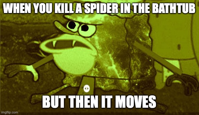 sponge | WHEN YOU KILL A SPIDER IN THE BATHTUB; BUT THEN IT MOVES | image tagged in spongebob | made w/ Imgflip meme maker