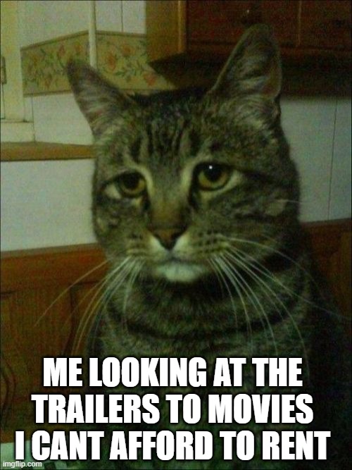 Depressed Cat | ME LOOKING AT THE TRAILERS TO MOVIES I CANT AFFORD TO RENT | image tagged in memes,depressed cat | made w/ Imgflip meme maker