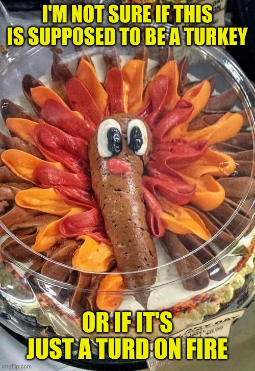 I'm not sure if this is supposed to be a turkey or if it's just a turd on fire |  I'M NOT SURE IF THIS IS SUPPOSED TO BE A TURKEY; OR IF IT'S JUST A TURD ON FIRE | image tagged in funny,meme,memes,funny memes,thanksgiving,happy thanksgiving | made w/ Imgflip meme maker
