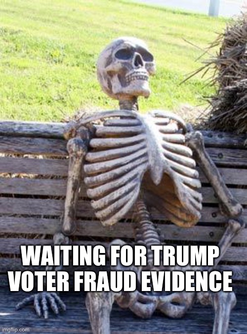 Voter Fraud Evidence | WAITING FOR TRUMP VOTER FRAUD EVIDENCE | image tagged in memes,waiting skeleton | made w/ Imgflip meme maker