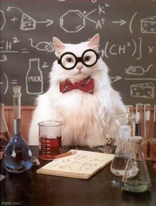 Chemistry Cat 2 | image tagged in chemistry cat 2 | made w/ Imgflip meme maker