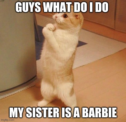 asking cat | GUYS WHAT DO I DO; MY SISTER IS A BARBIE | image tagged in asking cat | made w/ Imgflip meme maker