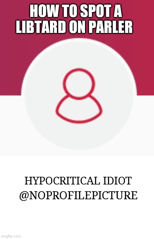 HOW TO SPOT A LIBTARD ON PARLER; HYPOCRITICAL IDIOT; @NOPROFILEPICTURE | image tagged in memes | made w/ Imgflip meme maker